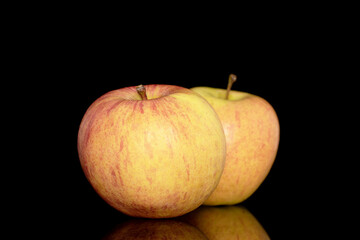 Two juicy organic apples, close-up, isolated on a black background.