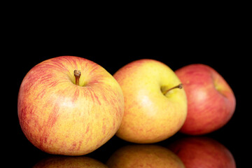 Three juicy organic apples, close-up, isolated on a black background.
