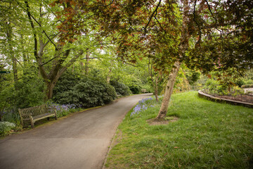 Fototapeta premium Garden walk path
