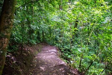 Through the Arenal National Park in Costa Rica