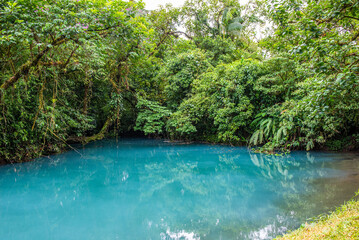 Walking through the Tenorio National Park in Costa Rica
