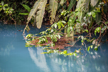 Walking through the Tenorio National Park in Costa Rica
