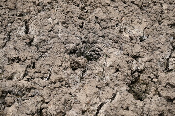 soil of soil