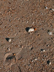 Beach with sunset and stone