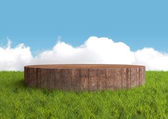 Round wood podium, pedestal or stand display on summer landscape with green grass and blue sky. Realistic 3d illustration. Abstract nature composition.
