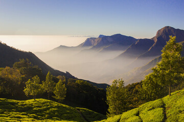 Munnar Top Station - one of the most visited destination in Kerala - obrazy, fototapety, plakaty