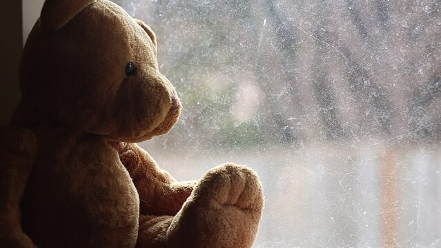Teddy bear sitting in dusty window