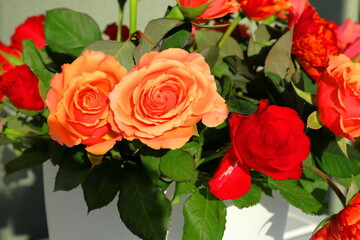 Orange and red roses with green leaves. Close up and isolated, blurry background. 
