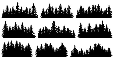 Fir trees silhouettes. Coniferous spruce horizontal background patterns, black evergreen woods vector illustration. Beautiful hand drawn panorama with treetops forest - obrazy, fototapety, plakaty