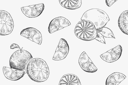 Seamless pattern with citrus - orange, lemon. Vintage vector