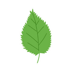 Apple leaf doodle illustration