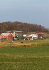Fototapeta na wymiar Amish Farm with Red Buildings in a Green Valley
