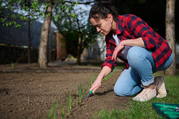 Serene female gardener loosens the ground with a garden rake in the vegetable garden of a country...