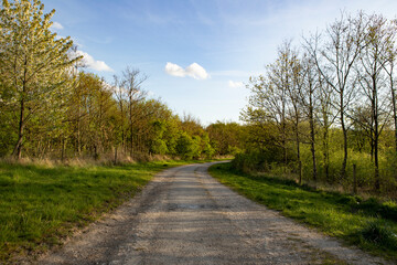 a deserted track at apedale community country park blue sky's and fluffy white clouds 