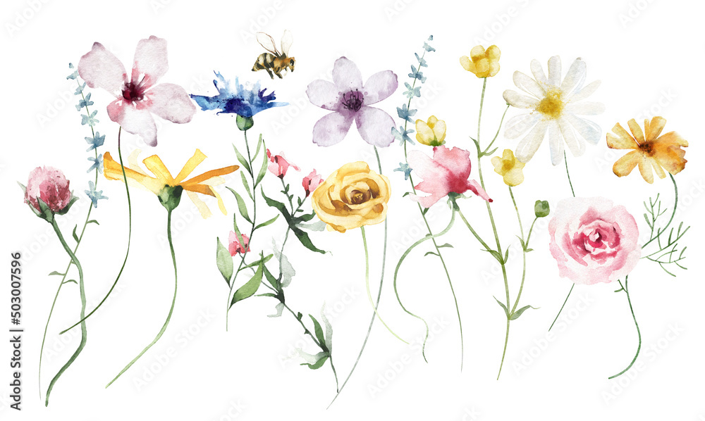 Wall mural watercolor bouquet with diverse wild colourful flowers, twigs. violet, blue and yellow flowers. flor