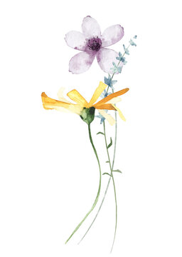 Watercolor bouquet with wild flowers, twigs. Violet, blue and yellow flowers. Hand drawn floral illustration