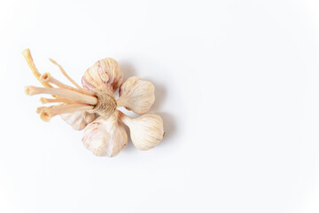 A bunch of fresh garlic isolated on a white background. Garlic is tied with cord. Close-up, top view, copy space.