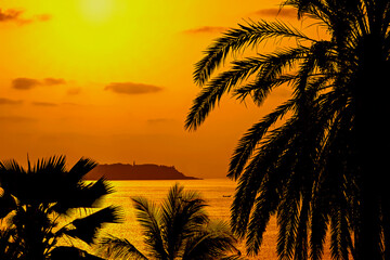 Tropical sunrise on the beach – Silhouettes of coconut palm trees, view on Gorée Island, Dakar, Senegal