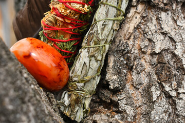 A close up image of two different healing smudge sticks with carnelian geode on a tree branch. 