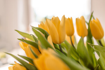 Naklejka premium Spring flowers in living room interior. Bouquet of fresh yellow tulips on a table. Home decor. Spring or holiday concept, March 8, International Women Day, birthday.