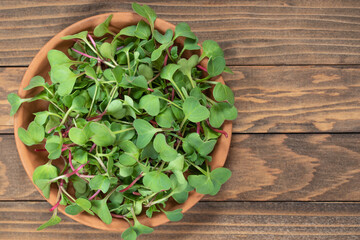  Radish sprouts micro greens, on wooden background, sprouts salad, seed germination, growing sprouts , healthy food concept, good mood, copy space