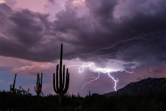 Lightning at sunset in the sonoran desert