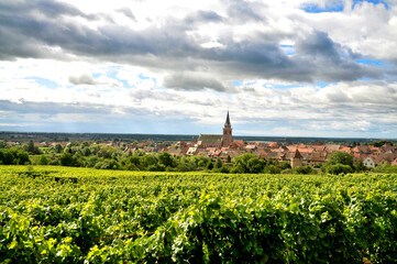 Fototapeta na wymiar Alsace panorama vigne raisin village
