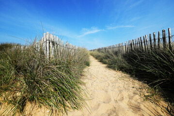 Fototapeta premium Chemin vers la plage