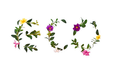 Eco inscription from flowers and leaves on a white isolated background