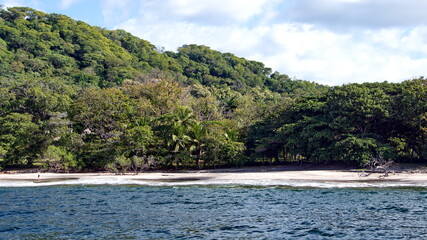 Fototapeta na wymiar Jungle above the beach near Tamarindo, Costa Rica