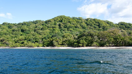 Obraz premium Jungle above the beach near Tamarindo, Costa Rica