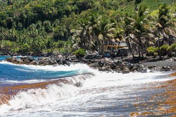 beach