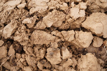 Brown texture with broken plowed earth close-up.