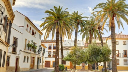 dans les rues de Cordoue et dans les maisons avec cour intérieure et patio typiquement andalouse et patios, Andalousie Espagne