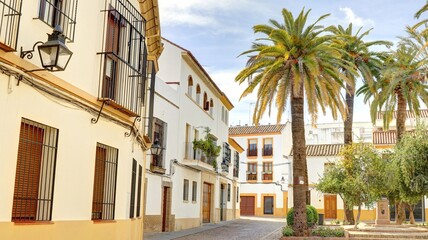 Obraz premium dans les rues de Cordoue et dans les maisons avec cour intérieure et patio typiquement andalouse et patios, Andalousie Espagne