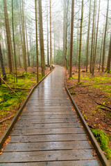 Wooden footpath