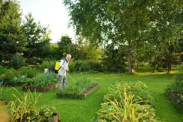 Farmer with a mist fogger sprayer sprays fungicide and pesticide on bushes and trees. Protection of...