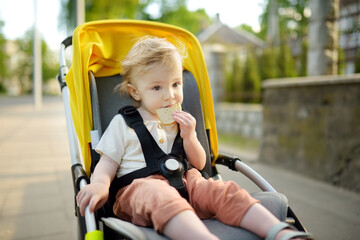 Fototapeta na wymiar Sweet toddler boy sitting in a stroller outdoors. Little child in pram. Infant kid in pushchair. Summer walks with kids.