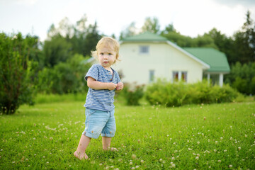 Funny toddler boy having fun outdoors on sunny summer day. Child exploring nature.