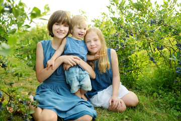 Fototapeta premium Cute young sisters and their toddler brother picking fresh berries on organic blueberry farm on warm and sunny summer day. Fresh healthy organic food for kids.