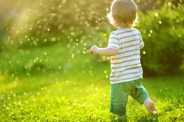Funny toddler boy having fun outdoors on sunny summer day. Child exploring nature.