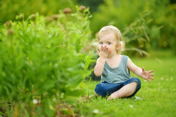 Silly toddler boy putting soil in his mouth while playing outdoors on sunny summer day. Curious child exploring nature.