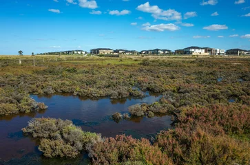 Foto op Plexiglas Plants in wetlands with a distant view of residential houses in the background. Concept of living environment, new estate development near nature conservation. Cheetham Wetlands. Point Cook Australia. © Doublelee