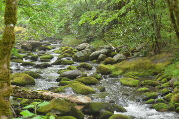 Obraz premium water, waterfall, nature, natural, river, travel, stream, stone, rock, scenic, forest, cascade, landmark, flowing, beautiful, outdoor, tree, green, landscape, mountain, fall, vacation, park, vertical,