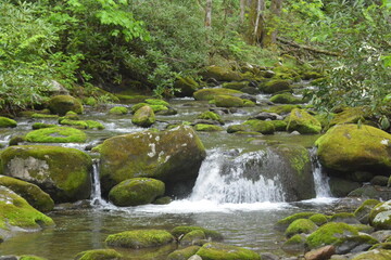water, waterfall, nature, natural, river, travel, stream, stone, rock, scenic, forest, cascade, landmark, flowing, beautiful, outdoor, tree, green, landscape, mountain, fall, vacation, park, vertical,