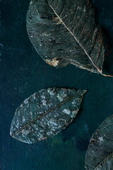 Dark green rustic background with dry leaves, wallpaper style dark, texture.