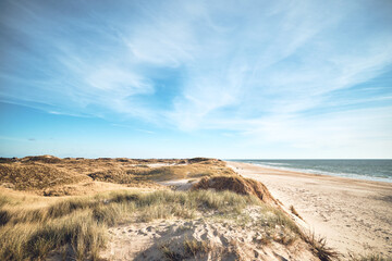 Dunes at the north sea coast at best summer weather. High quality photo