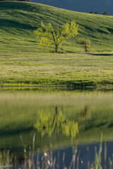 Rolling Hills of the Front Range of Colorado