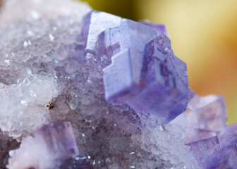 
fluorite mineral specimen stone rock geology gem crystal