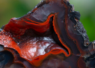 red fox agate mineral specimen stone rock geology gem crystal